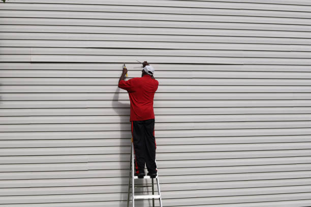 Best Steel Siding Installation  in Burgin, KY