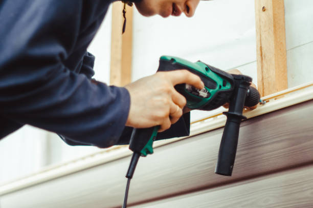 Best Custom Trim and Detailing for Siding  in Burgin, KY